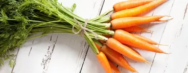 La carotte livre ses secrets