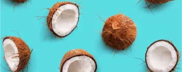 La noix de coco livre ses secrets