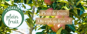 Plein de fruits Carte d’Or_Plein fruit