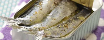 Sardine, thon, maquereau… les poissons « gras » donnent le ton !