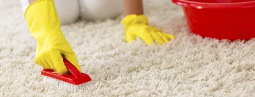 6 recettes maison pour réveiller un tapis Prendre soin de vos tapis