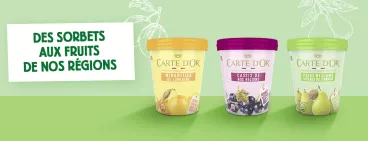 Des sorbets aux fruits de nos régions Carte d’Or sorbets fruits de nos régions