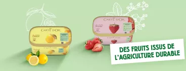 Des Fruits Issus de l’Agriculture Durable Carte d’Or_Fruits durables
