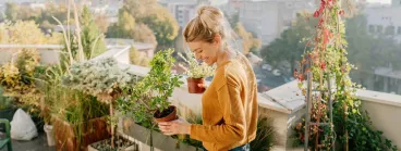 Jardin ou balcons : tout ce qu’il faut pour les rendre canons Astuces pour la décoration de vos balcons et jardins.
