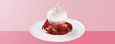 Un dessert glacé avec du sorbet à la framboise