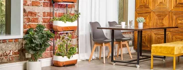 Mobilier extérieur dans le jardin
