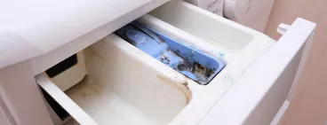 Le bac à lessive d’une machine à laver