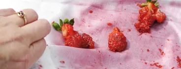Nettoyer tache de fruits rouges vêtements tissus