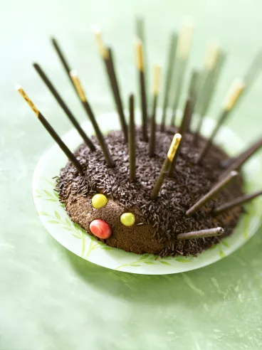 Gâteau hérisson aux Mikado® Chocolat Noir