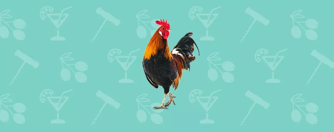 Nos idées conviviales pour un apéro réussi !