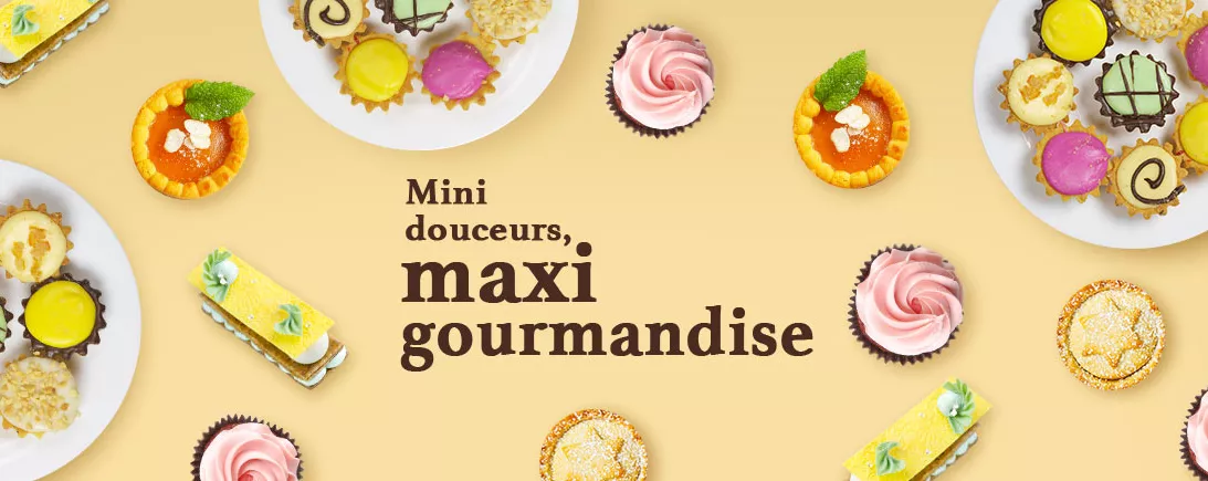 Recueil de recettes mini pour un maxi plaisir.