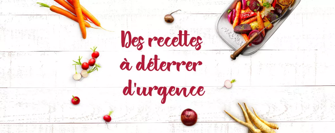 Les recettes aux légumes-racines. Betterave, celeri, topinambour