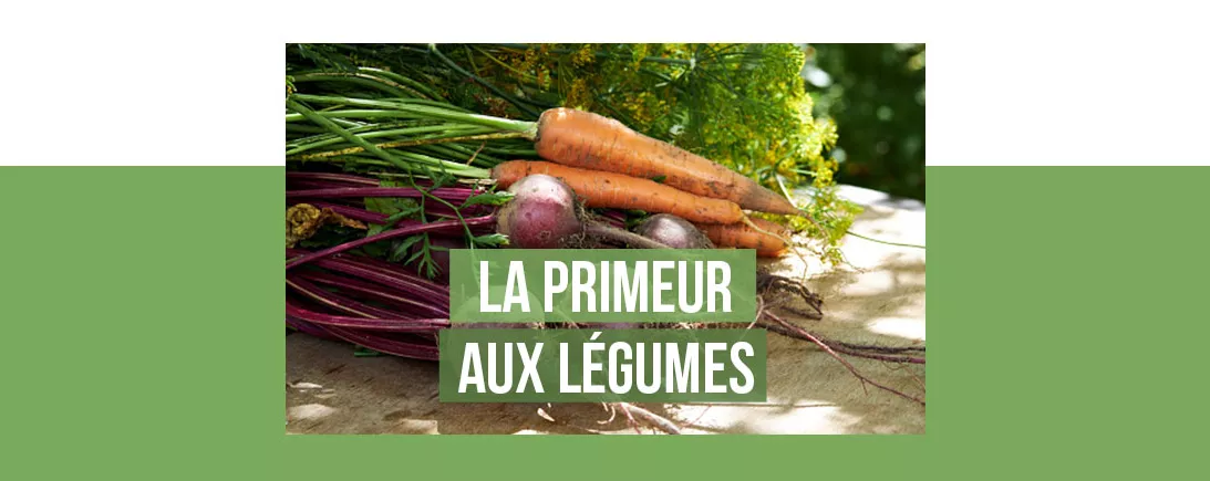Recettes à base de légumes