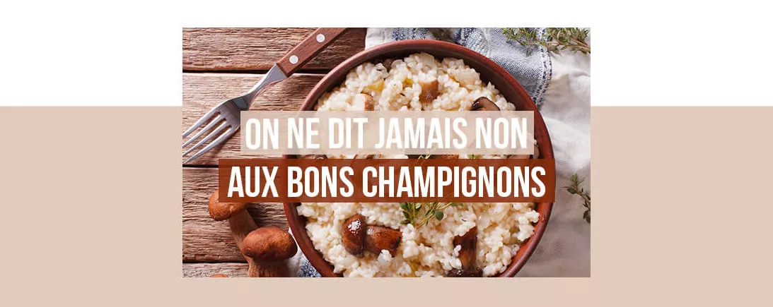 Nos délicieuses recettes aux champignons