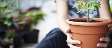 Cultiver son potager sur son balcon 