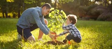 Astuces vertes pour planter un arbre