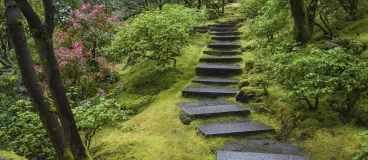 Vue sur un jardin japonais traditionnel
