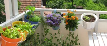 Redonnez le sourire à votre terrasse ! terrasse