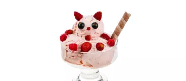 Une glace kawaii chat