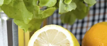 Laitue assaisonnée avec du citron et des agrumes