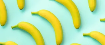 Le petit guide de la banane Des bananes