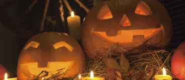 Tout savoir sur Halloween même si ça fait peur ! Tout savoir sur Halloween même si ça fait peur !