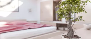 Le feng shui au chevet de votre sommeil !