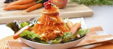 Plat Raw Food composé de carottes crues et de pousses de salades