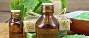 L'ortie en cosmétique, même pas mal et tellement belle ! L'ortie en cosmétique, même pas mal et tellement belle !