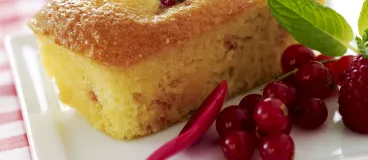 Mini-cakes aux fruits rouges