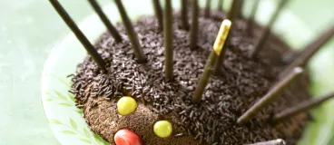 Gâteau hérisson aux Mikado® Chocolat Noir
