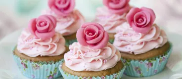 Cupcakes nature