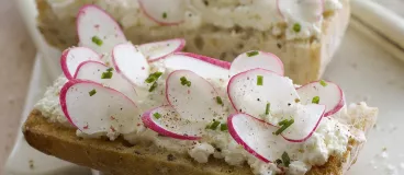 Bruschetta au cottage cheese et aux radis