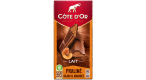 Tablette Côte d’Or Lait Praliné Cajou & Amandes