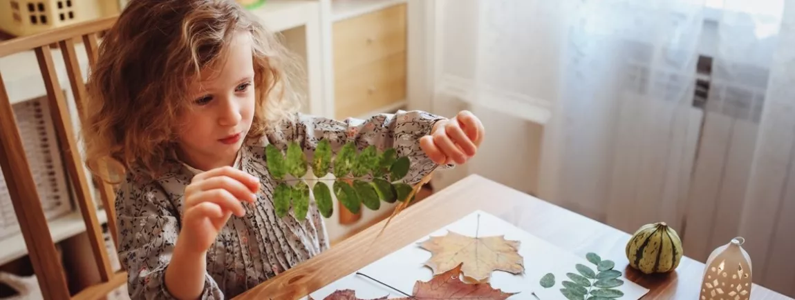 Les feuilles d'automne se ramassent... en famille ! Une petite fille réaliser un herbier