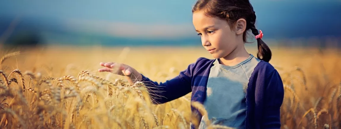 Une petite fille dans un champ de blé