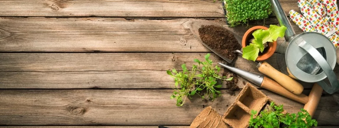 Des travaux de jardinage en mars à l’approche du printemps