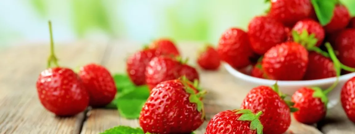 La fraise se la ramène au printemps ! Des fraises bien mûres et sucrées