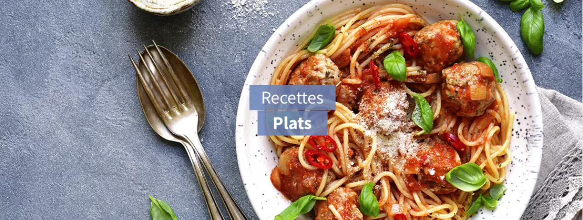 recettes plats