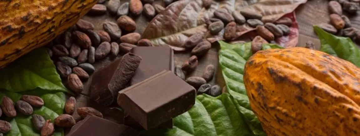 Cocoa Life, pour un chocolat durable Du chocolat à l’état brut