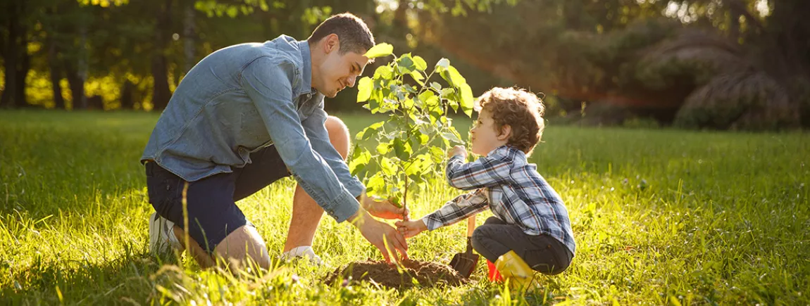 Astuces vertes pour planter un arbre Astuces vertes pour planter un arbre