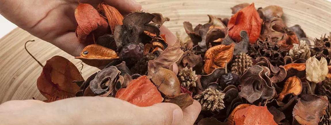 7 astuces pour fabriquer un pot-pourri « maison » ! Tout savoir sur les pots pourris