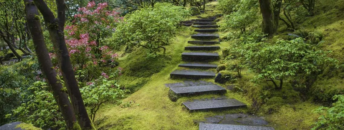 Vue sur un jardin japonais traditionnel