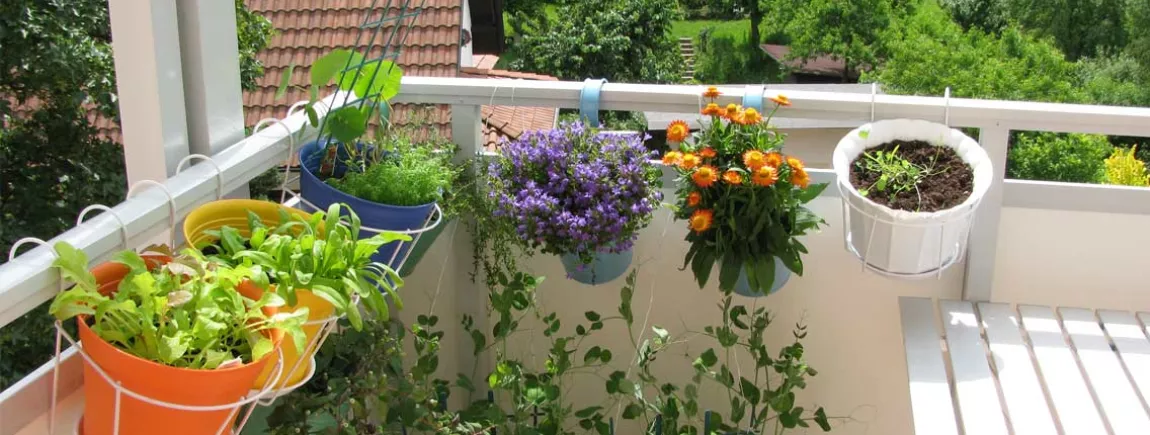 Redonnez le sourire à votre terrasse ! terrasse