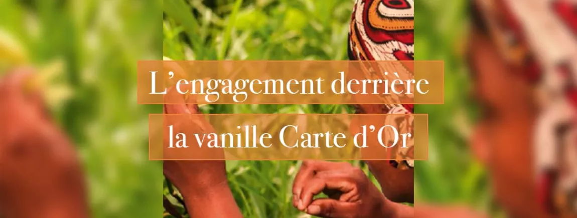 L’engagement derrière la vanille Carte d’Or L’engagement derrière la vanille Carte d’Or