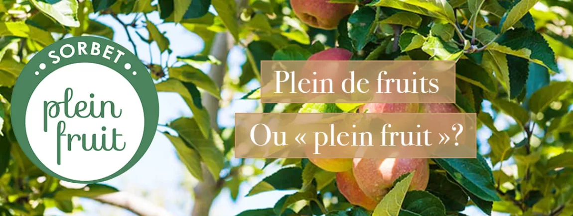 Plein de fruits Carte d’Or_Plein fruit