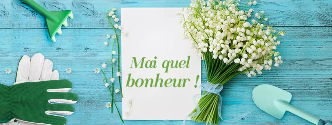 Muguet grants et matériel de bricolage