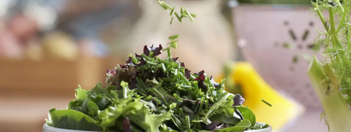 Fines herbes et aromates : la nature parfume votre cuisine ! Fines herbes et aromates : la nature parfume votre cuisine !