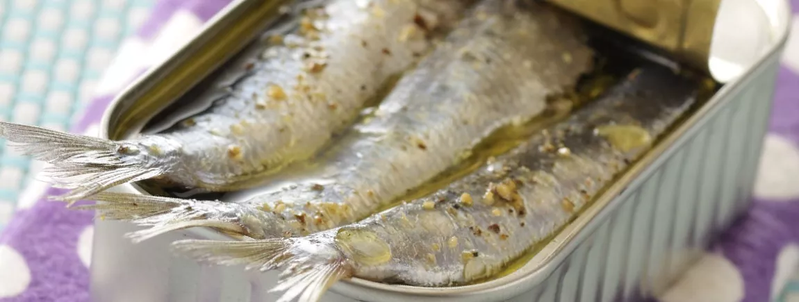 Sardine, thon, maquereau… les poissons « gras » donnent le ton !