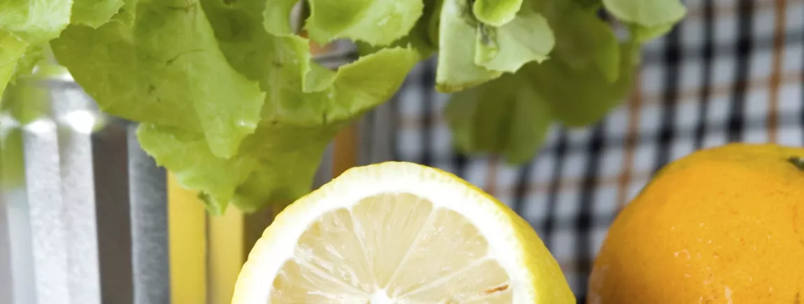 Laitue assaisonnée avec du citron et des agrumes